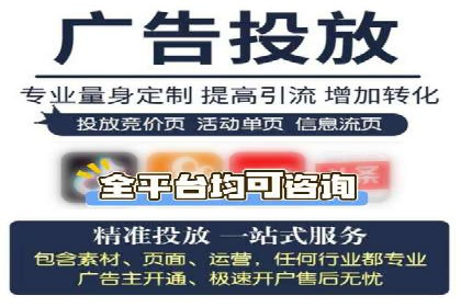 SEM代理实战：成功案例分享与经验总结